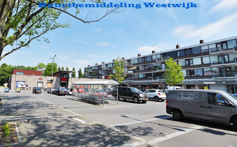 Buurtbemiddeling Westwijk..jpg