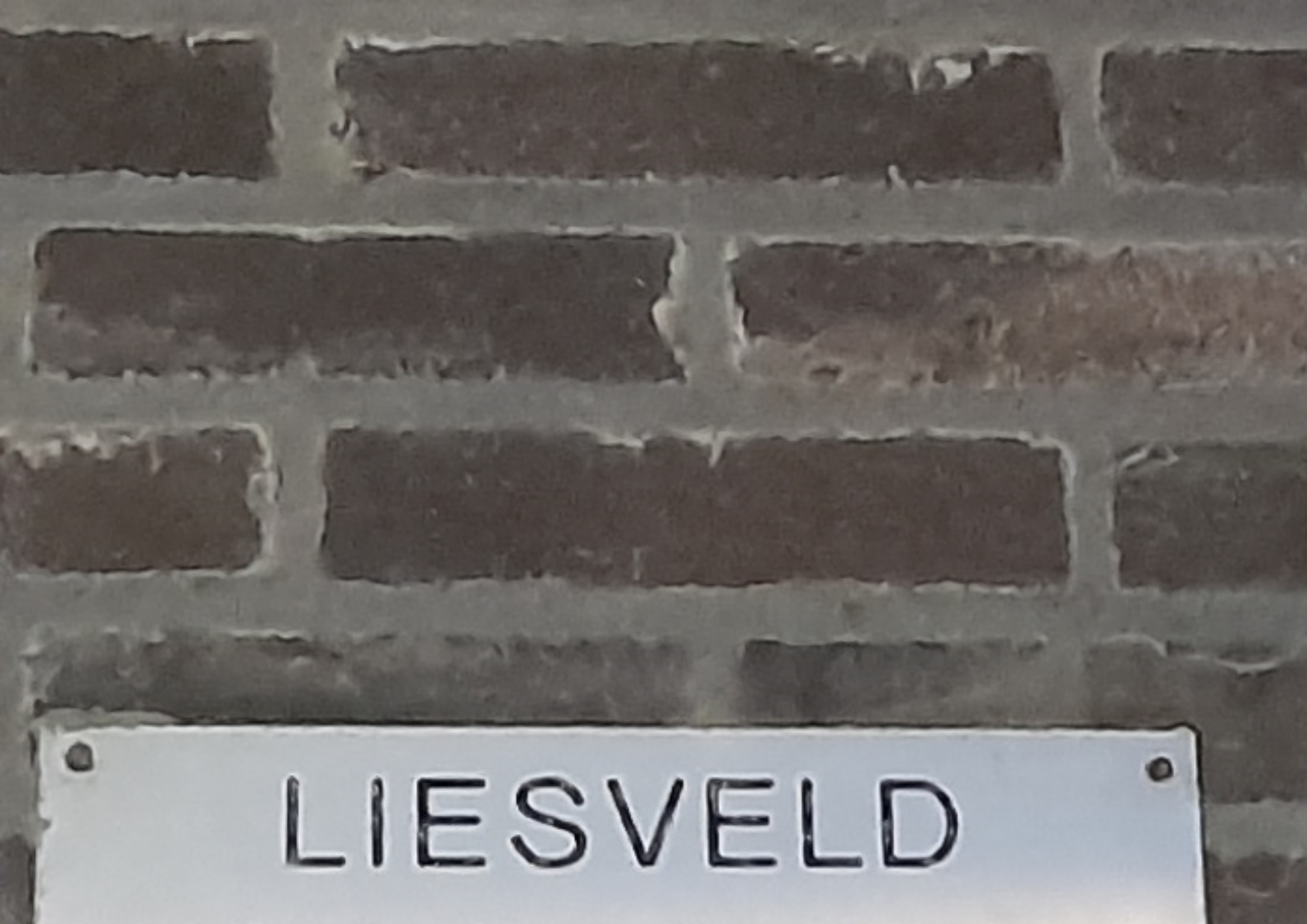 Liesveld pro (CENTRUM).jpg